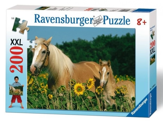 RAVENSBURGER Puzzle Koňské štěstí XXL 200 dílků