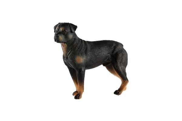 Rottweiler - pes domácí zooted plast 8cm v sáčku