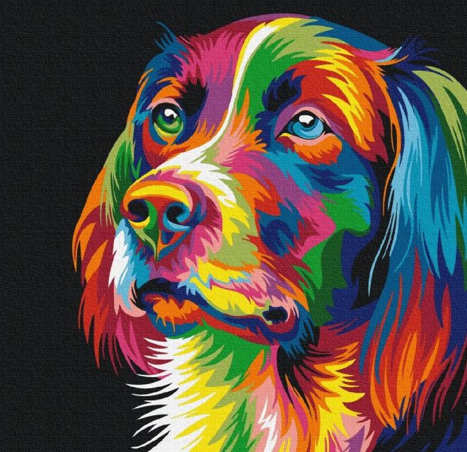 Malování podle čísel - Pes v barvách