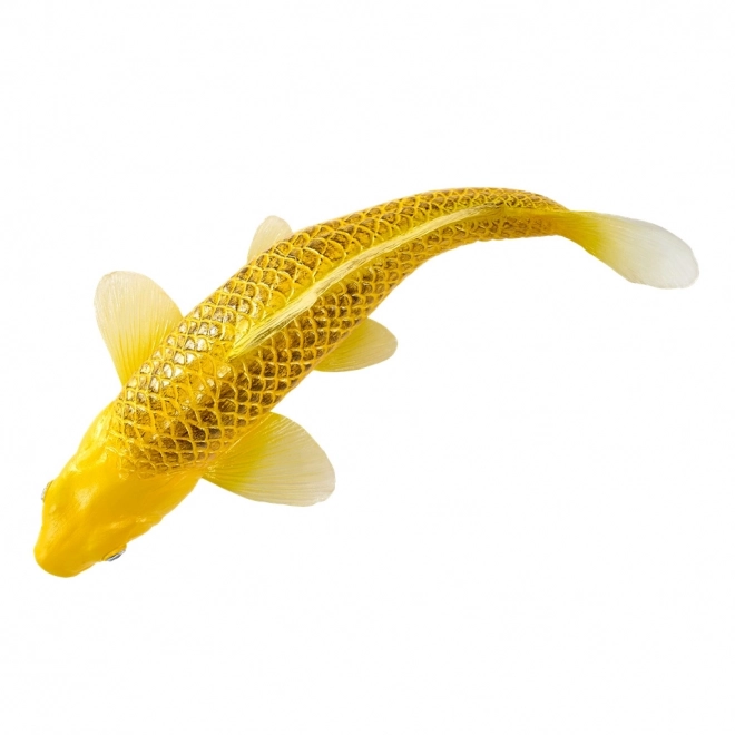 Mojo kapr koi Matsuba