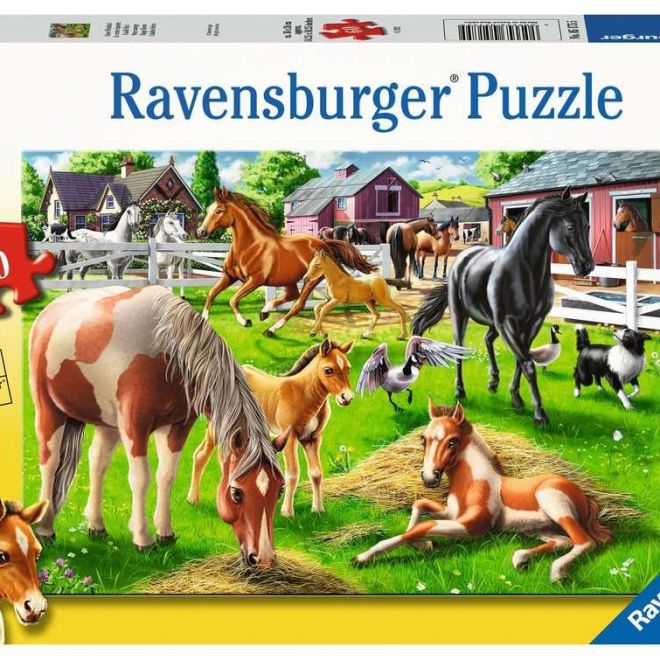 RAVENSBURGER Puzzle Šťastní koně 60 dílků