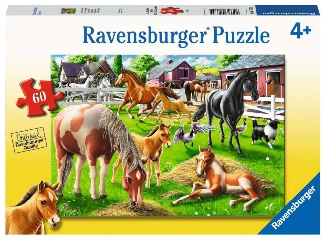 Ravensburger puzzle šťastní koně 60 dílků