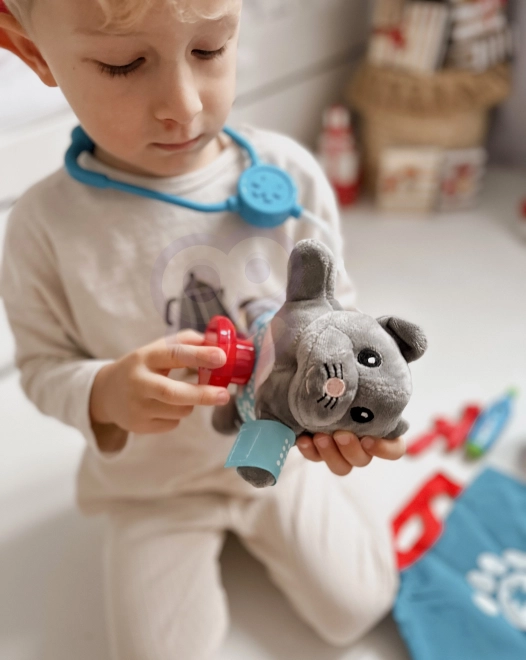 Woopie sada malého veterináře pro kočky s taškou