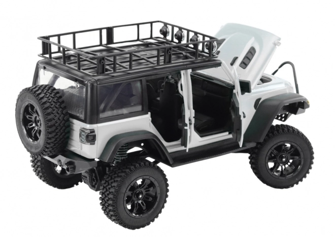 Off-road RC 2.4G 4x4 drive Grey