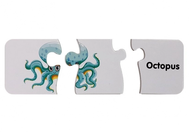 Vzdělávací puzzle Svět oceánů 10 připojení