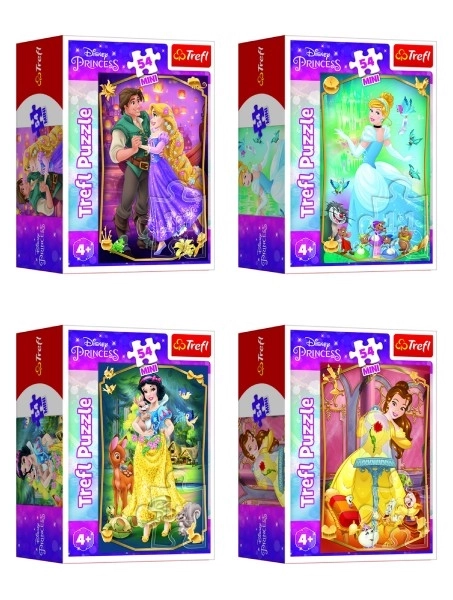 Minipuzzle Krásné princezny/Disney Princess 54dílků 4 druhy v krabičce 6x9x4cm 40ks v boxu