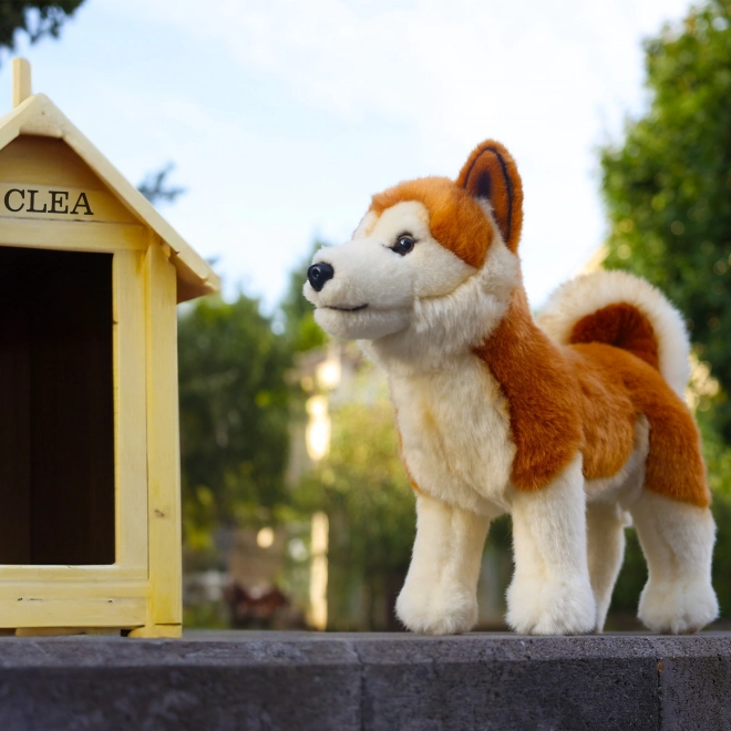 Plyšový pes Akita Inu 30 cm ECO-FRIENDLY