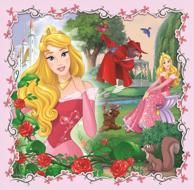 TREFL Puzzle Disney princezny s přáteli 3v1 (20,36,50 dílků)