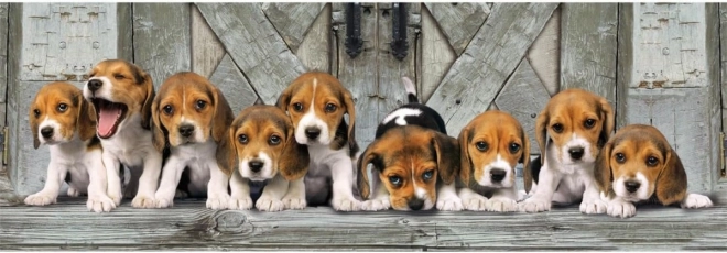 Puzzle 1000 prvků Kompaktní panorama Beagle