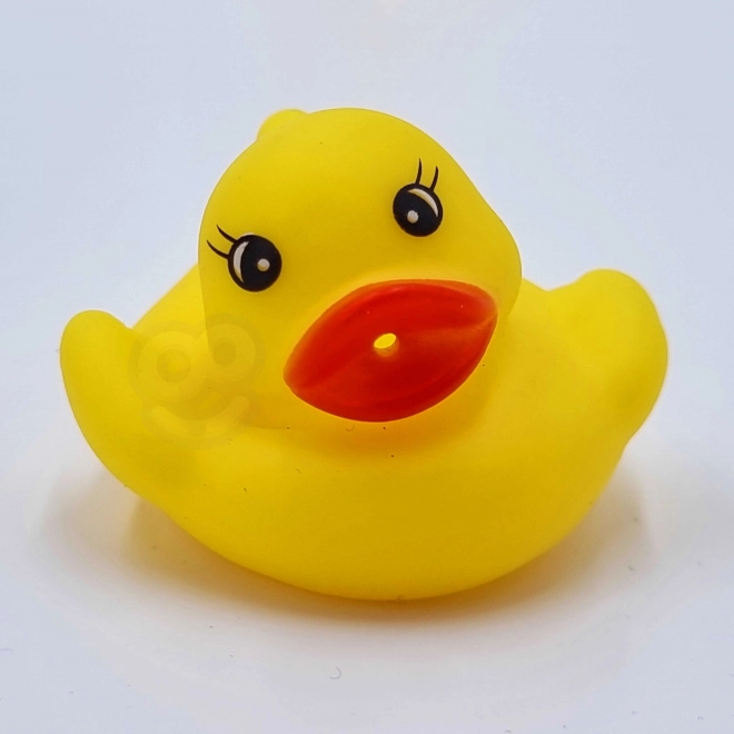 Koupelová hračka Loď od Woopie