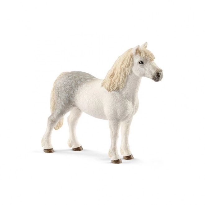 Velšský hřebec pony