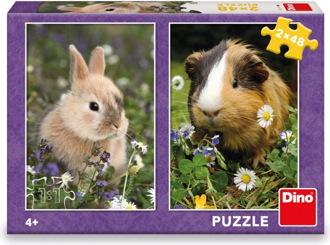 Puzzle Králíček a Morče 2x48 dílků na jarní louce