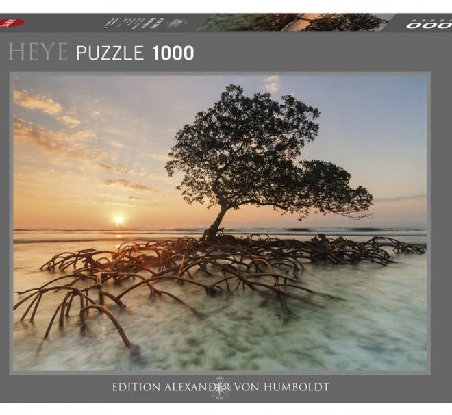 Puzzle 1000 prvků - Mangrovy při východu slunce