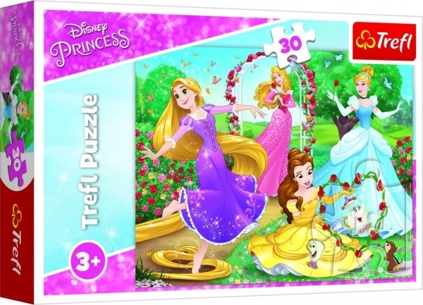 Puzzle Princezny Disney 27x20cm 30 dílků v krabičce 21x14x4cm