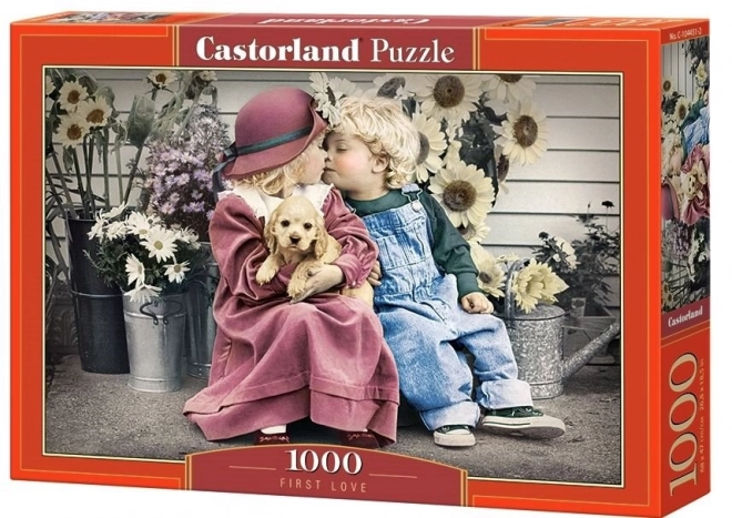 Puzzle 1000 prvních láska