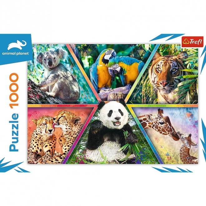 Puzzle 1000 prvků Animal Kingdom Animal Planet