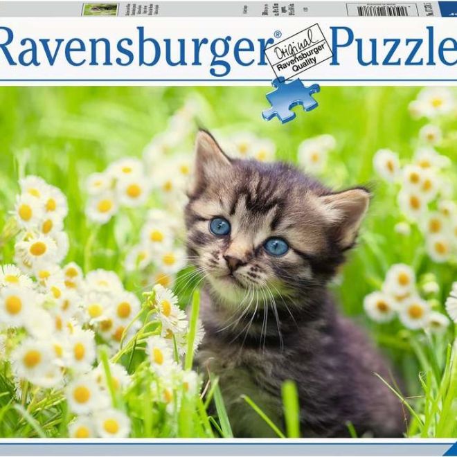 RAVENSBURGER Puzzle Koťátko na louce 500 dílků