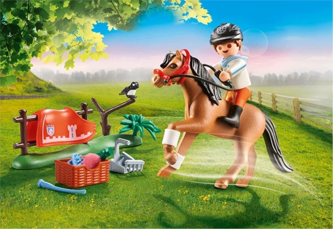 PLAYMOBIL® Country 70516 Sběratelský poník Connemara