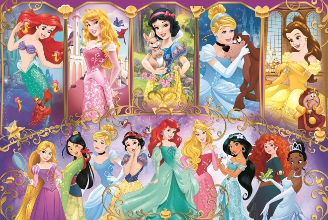 Puzzle Portréty princezen Disney 41x27,5cm 160 dílků v krabici 29x19x4cm