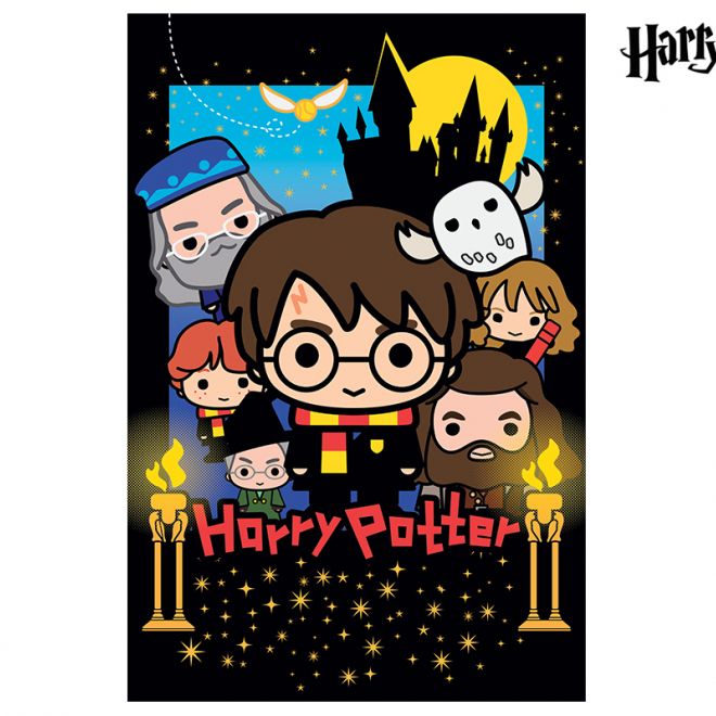 3D puzzle Harry Potter-Harry Potter 300ks