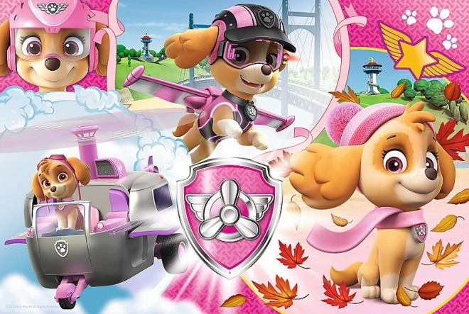 Puzzle Paw Patrol/Tlapková patrola Skye v akci 41x27,5cm 100 dílků v krabici 29x19x4cm