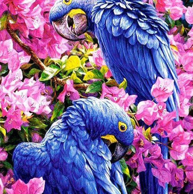 Sada na diamantové malování - modří papoušci