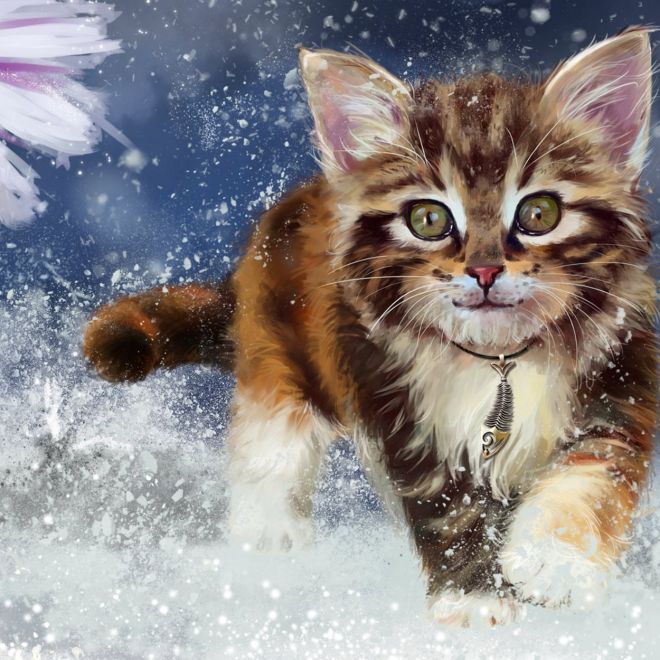Sada na diamantové malování - koťátko ve sněhu