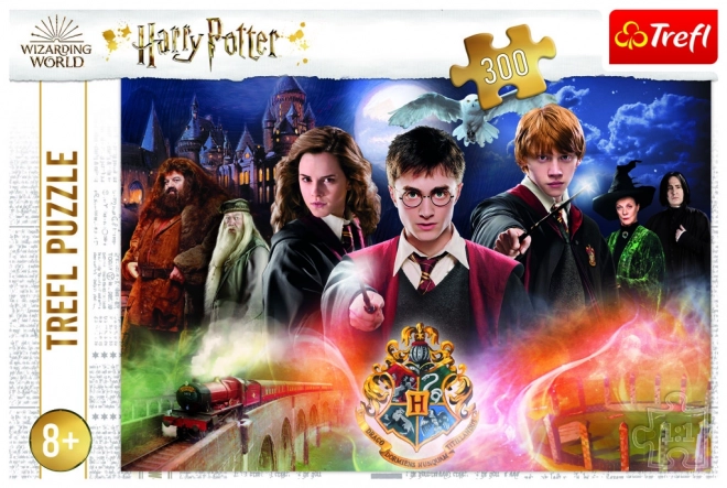 Tajemný Harry Potter puzzle 300 dílků