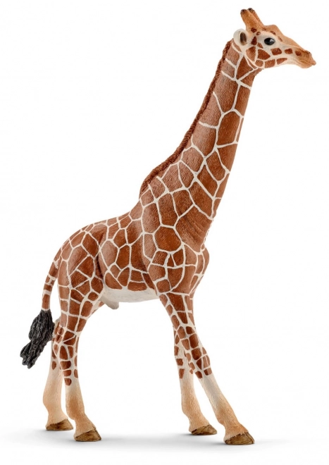 SCHLEICH Wild Life® 14749 Samec žirafy