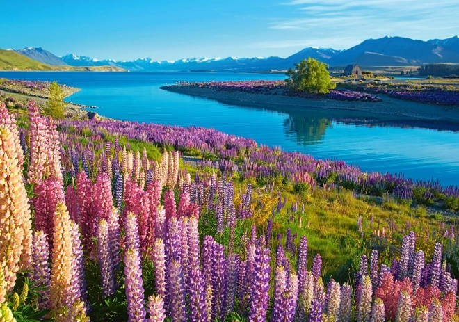 Puzzle 500 prvků Lake Tekapo Nový Zéland