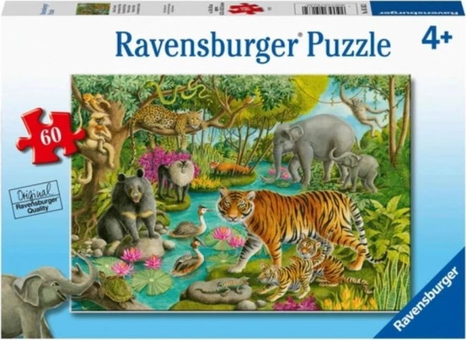 Puzzle zvířata Indie od Ravensburger