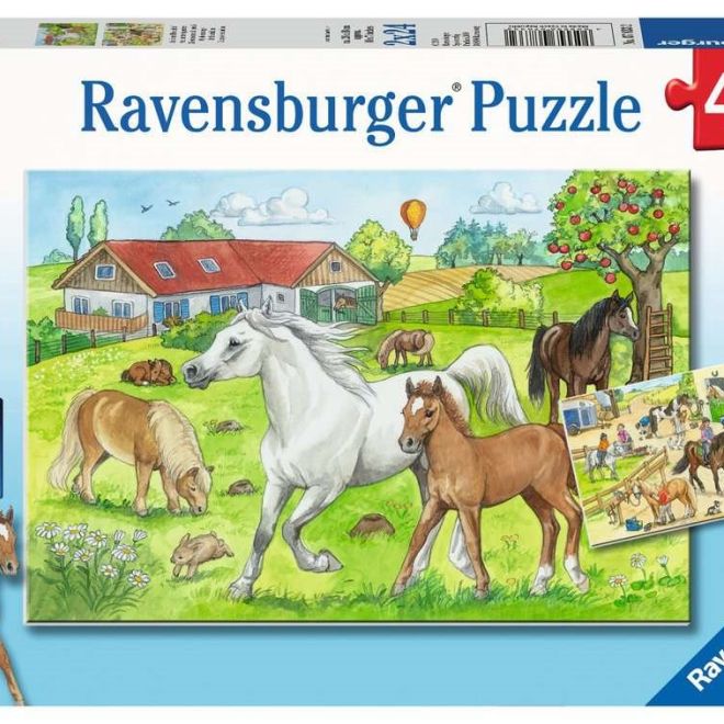 RAVENSBURGER Puzzle Ve stájích 2x24 dílků