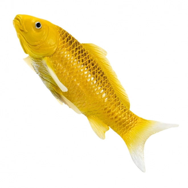 Mojo kapr koi Matsuba