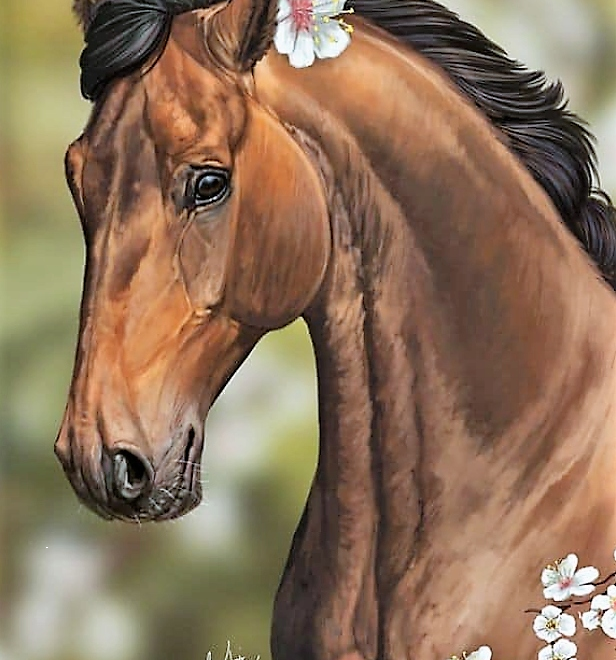 Sada na diamantové malování - hnědý kůň s květinami