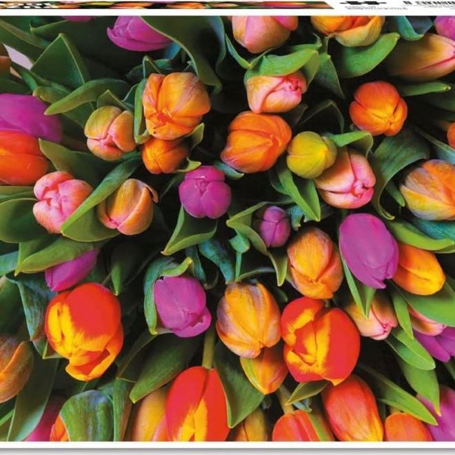 PIATNIK Puzzle Tulipány 1000 dílků