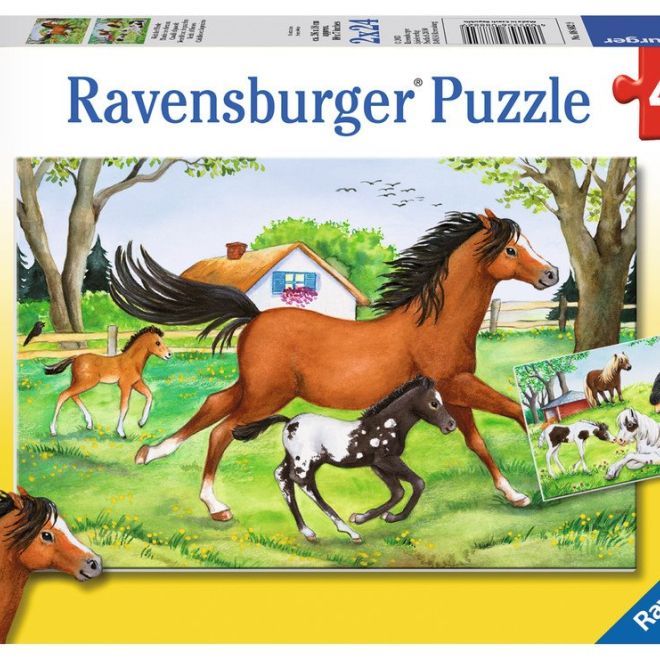 RAVENSBURGER Puzzle Svět koní 2x24 dílků