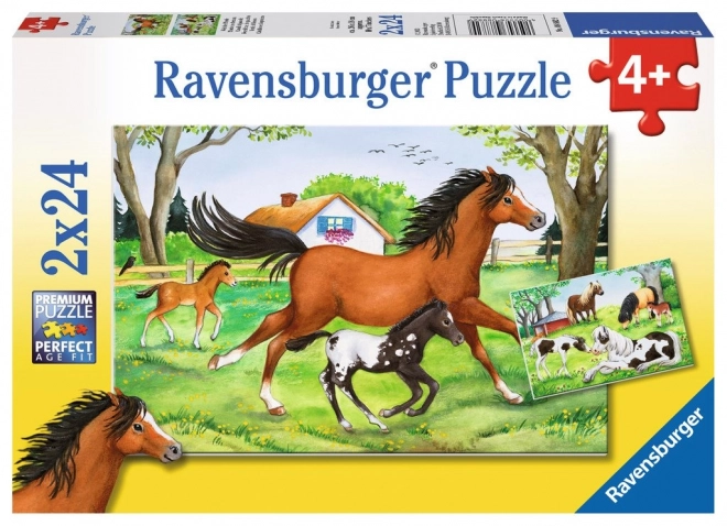 RAVENSBURGER Puzzle Svět koní 2x24 dílků