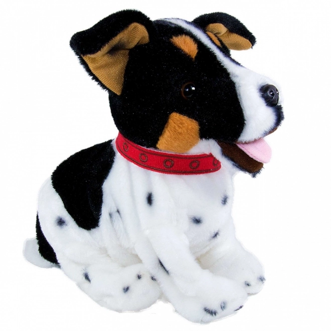Figo interaktivní maskot Jack Russel Terrier pes reagující na povely