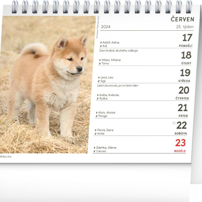 Stolní kalendář Psi – se jmény psů 2024, 16,5 × 13 cm