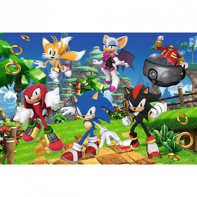 Puzzle 160 prvků Sonic a přátelé