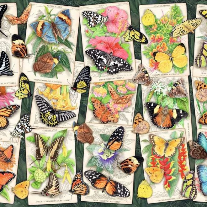 RAVENSBURGER Puzzle Tropičtí motýli 1000 dílků