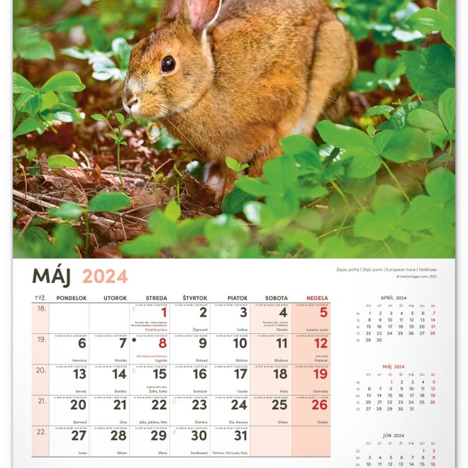 Nástenný kalendár Poľovnícky 2024, 33 × 46 cm