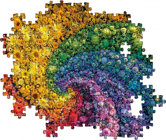 Puzzle 1000 Whirl z edice Colorboom