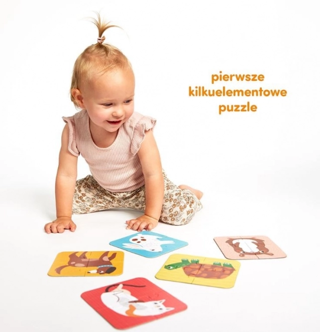 Puzzle pro čtyři - Naši přátelé