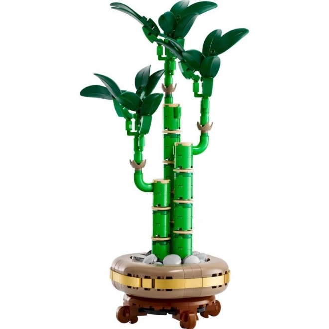 Lego Botanicals Dracena Sandera