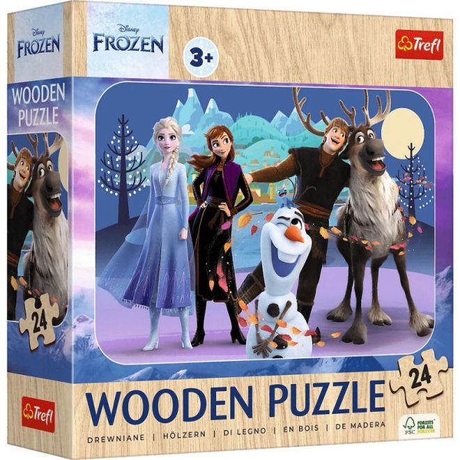 Dřevěné puzzle 24 dílků Ledovec