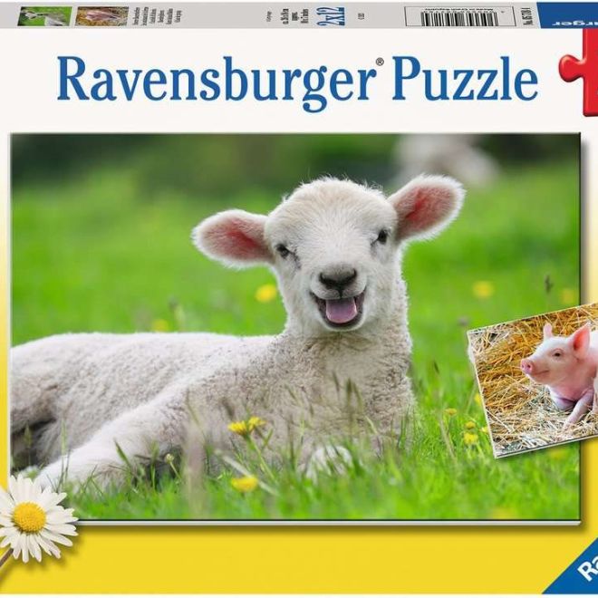 RAVENSBURGER Puzzle Hospodářská zvířata 2x12 dílků