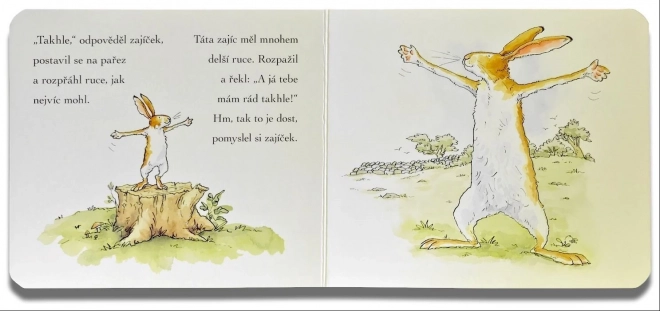 Hádej, jak moc tě mám rád! - Svojtka & Co.