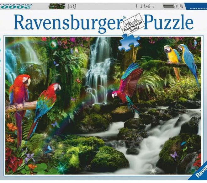 Puzzle 2000 prvků Papoušci v džungli