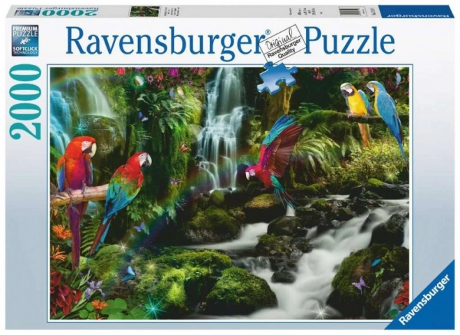 Puzzle 2000 prvků Papoušci v džungli